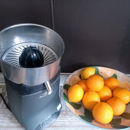 Hotel Kolmojen Sint-Truiden Zewnętrze zdjęcie
